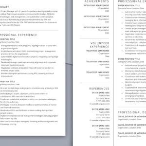 Professional Resume & CV Layouts Toolkit